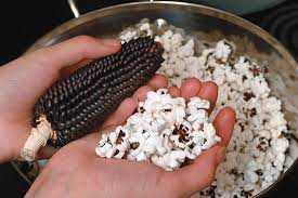Pop And Parch Heirloom Corn Real Food Mother Earth News