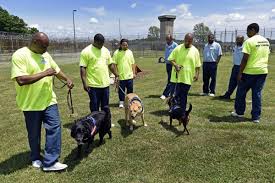 Check spelling or type a new query. Pet Health Inmates Shelter Dogs Get A 2nd Chance Pets Herald Review Com