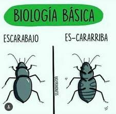 LatienditaDDios - Chiste de la semana 🤣🤣🤣 | Facebook