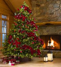 We did not find results for: Pre Lit Mountain Spruce Christmas Trees With 8 Function Leds Plowhearth