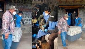 Porn 112 com although she is the girl in the pictures, the