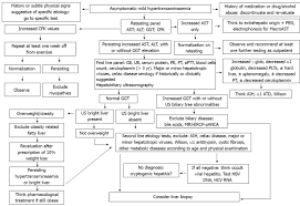 Persistent Hypertransaminasemia In Asymptomatic Children A