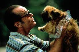 As Good As It Gets As Melvin Udall Happy Birthday Jack Nicholson The Iconic Actor S Best Lines Time Com Famous Dogs Jack Nicholson Brussels Griffon