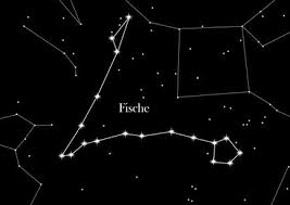 Was bedeutet das und was sagt es über die persönlichkeit aus? Sternzeichen Fische Starling Star Registry Blog Deutsch