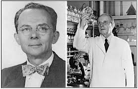 History, Rats, Fleas, and Opossums. II. The Decline and Resurgence of  Flea-Borne Typhus in the United States, 1945–2019