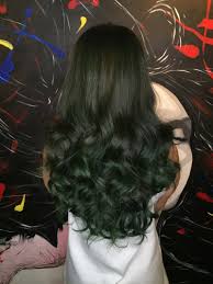 Green Hair Colour Without Bleach Brunette Hair Color Hair Inspiration Color Green Hair Colors