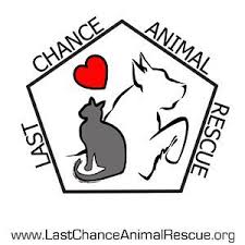 We will now be appointment only to view and adopt canines and felines until further notice. Last Chance Animal Rescue Home Facebook