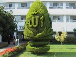 Beautifully Crafted Name Of Allah In Landscaping Allah Allah Names Beautiful Tree