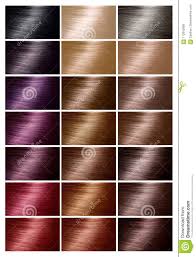 Color Chart For Hair Dye Tints Hair Color Palette With A