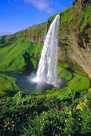 Pin By Jennifer Young Haines On Fall Water Fall Waterfall Seljalandsfoss Waterfall Beautiful Waterfalls