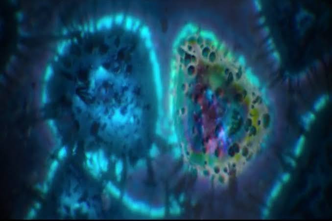 Annihilation, Cellular Degeneration, and the Horror of an Indifferent  Universe - Horror Movie - Horror Homeroom