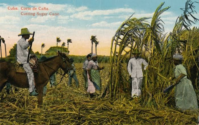 How British abolition of slavery led to India's indentured labour system - India Today
