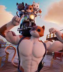 We did not find results for: Meowscles Robot Kit Fortnite Wallpaper Hd Games 4k Wallpapers Images Photos And Background Wallpapers Den