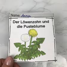 Peter lustig wohnt in einem fantasiereich umgebauten bauwagen. Leporello Vom Lowenzahn Zur Pusteblume Unterrichtsmaterial Im Fach Sachunterricht