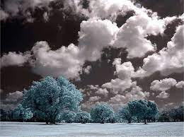 Landscape Art Nature Color Splash Photography Keefers Color Splash Photography Color Splash Art Splash Photography