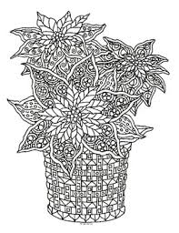 We have cake decorating supplies for birthday parties, weddings, lgbt celebrations or just about any other occasion you may be celebrating. Christmas Poinsettia Zentangle Coloring Page By Pamela Kennedy Tpt