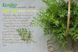 Pin Di Indonesian Food
