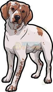 Black And White Spotted Dog Clipart A Shy But Cute Looking Brittany Spaniel Pet Dog Dog Animation Dog Paintings Animal Sketches