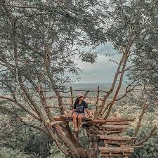 Namun, dilansir dari akun instagram resminya, harga tiket masuk serta harga paket paralayang saat ini masih tidak banyak. Tiket Masuk Wanasimbat Rsdmx3kjp72t M Nah Berapa Harga Tiket Masuk Htm Tanjung Benoa Tahun 2021 Best News Today 14