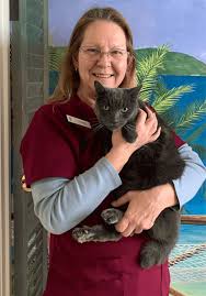 Our animal caretakers have the experience and personal commitment to ensure that your pet receives the same affection and friendship he or she is used to getting from you and you will have. Meet The Team Chula Vista Ca Pacific Pet Hospital