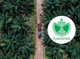 Supply integrated systems development for risda plantation. Syarikat Milikan Risda Smr Risda Holdings Sdn Bhd Rhsb