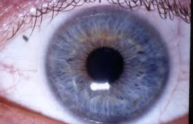 Er meinte nur bei beschwerden, wie juckenden augen, müsste man die linsen entfernen. Kontaktlinsen Augenarztpraxis Freiburg