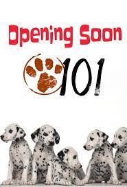 Peyia veterinary clinic is a cyprus business located in pegeia, paphos. 101 Vet Clinic Jordan Amman Edexy