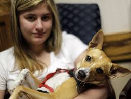 Dog helped open up world for Edmond girl with autism