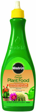 A commercial formula such as miracle grow or rapid grow can be used, but should be diluted to half strength. Miracle Gro 100054 Liquid Cactus Plant Food Fertilizer For Cacti Jade Aloe And Other Succulunts Buy Online In French Polynesia At Frenchpolynesia Desertcart Com Productid 1957160