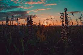 اجمل خلفيات لابتوب ماك best laptop wallpapers 2019 tecnologis landscape photography nature sunset color palette landscape wallpaper