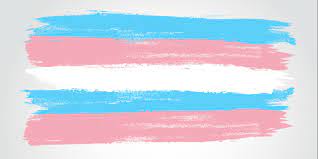 Flagg brukt av transpersoner, organisasjoner og samfunn (nb). Arkansas Verbietet Behandlungen Fur Trans Jugendliche Ggg At