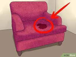 How To Remove The Smell Of Cat Or Dog Urine From Upholstery