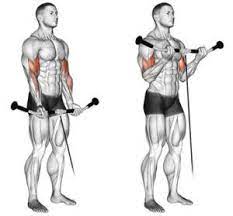 Low Pulley Curls Standing Bicep Cable Curls Biceps Workout Cable Workout Cable Curl