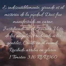 Pin De Ruth Lopez En Pasajes Biblicos Frases De Bendiciones Palabra De Vida Palabra De Dios