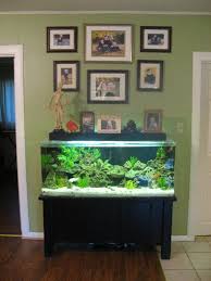 Pin By Tiffany Messier On A Glimpse Inside My World Fish Tank Wall Fish Tank Amazing Aquariums