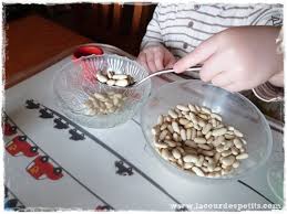J'aime bcp l'étui lunettes + lentilles. Les Transvasements Montessori La Cour Des Petits