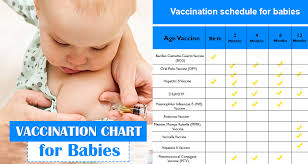 essential vaccination chart for babies and kids newborn