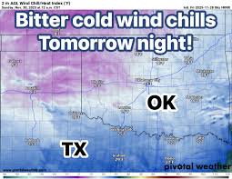 Image result for Wind Chill 2025 TX