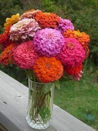 Pin On Flowers Gardening Cut Eating
