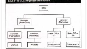 8 types of organisational structures their advantages and