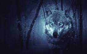 You can also upload and share your favorite wolf wallpapers 1920x1080. 32 4k Ultra Hd Wolf Wallpapers Background Images Wallpaper Abyss
