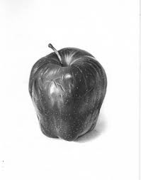 Pin On How To Draw Realistic Objects With Pencil