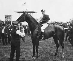 Pin On Horses 2 U Moe