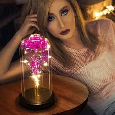 Rose Flower Gifts for Women, LED Light Up Rose in Glass Dome Christmas  Gifts NEW