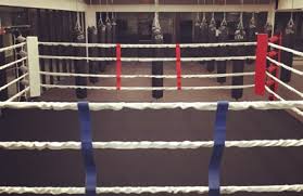 the gym boxing and fitness 6941 sw