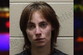 Lori Ayers — Haralson County Jail Bookings