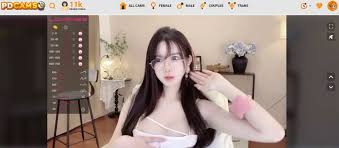 ThePornDude created the best live cam aggregator - PDCams.com ⋆ Jav Guru ⋆  Japanese porn Tube