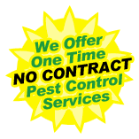 With fast response times and detailed. Pest Control In San Marcos Texas Triumph Pest Control