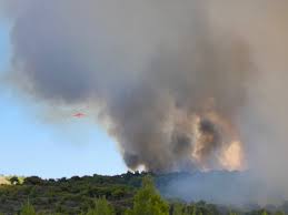 Newsit ελλαδα φωτια στο λαυριο κοντα στο εργοστασιο της εβο! Fwtia Sto Layrio Dokimastikes Boles H Aitia Osa Dhlwse O Dhmarxos Xtypos Online