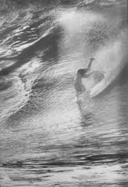 Jesse Storch (jessestorch)